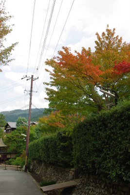 c0161459_22333190.jpg