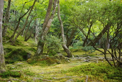 c0161459_22362850.jpg