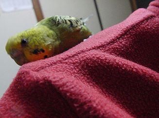 f0196665_07211.jpg