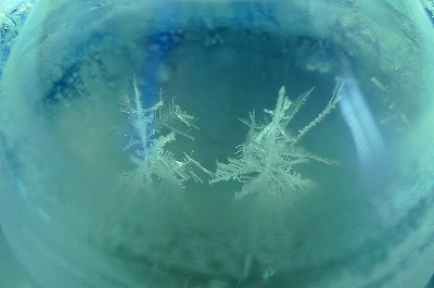 f0182173_11311695.jpg