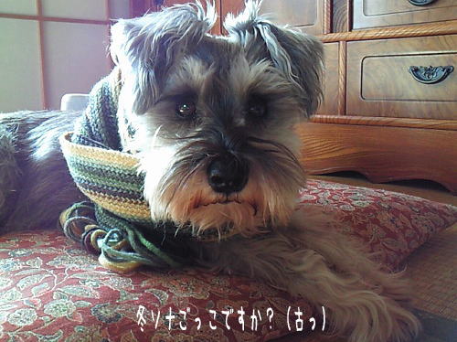 f0145575_084478.jpg