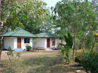 d0144077_2381588.jpg