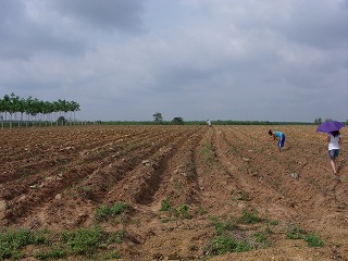 d0144077_2523152.jpg