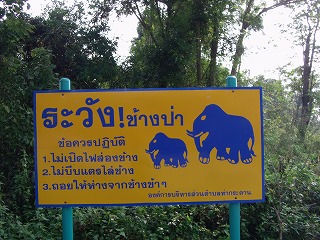 d0144077_2535943.jpg