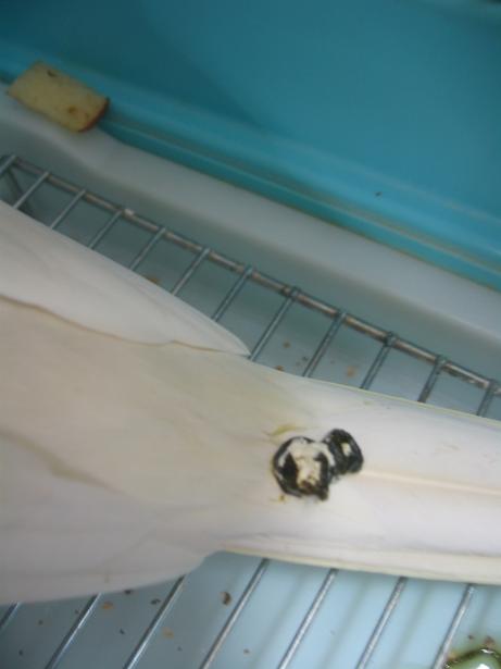 e0027078_17365587.jpg