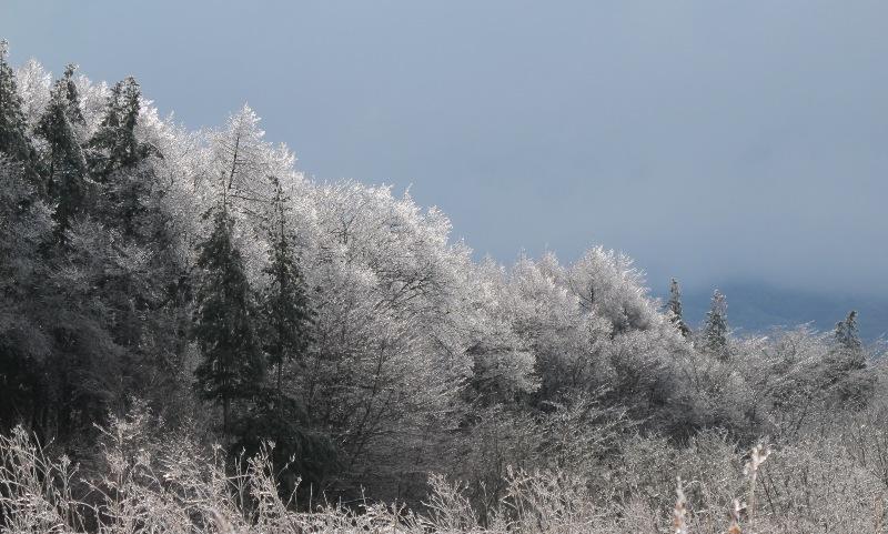 a0091680_15542493.jpg