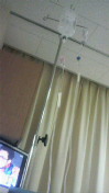 c0027383_21204963.jpg