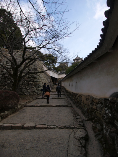 f0103688_17162466.jpg