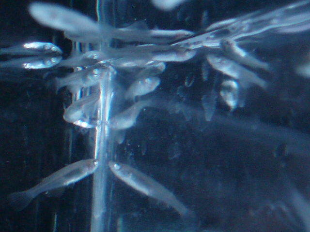 e0192991_21212119.jpg