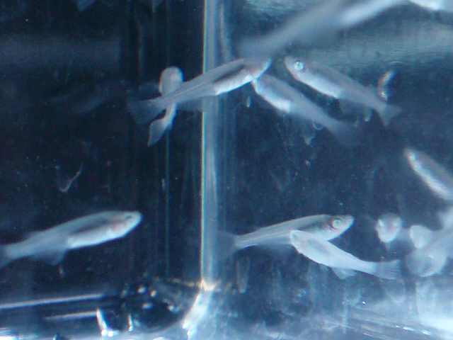 e0192991_21212781.jpg