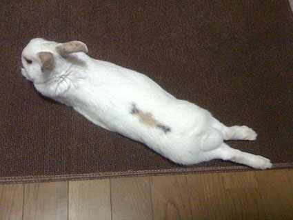 f0201191_11525.jpg