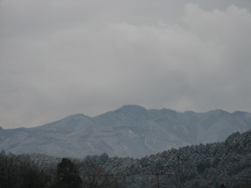 a0117599_20402633.jpg