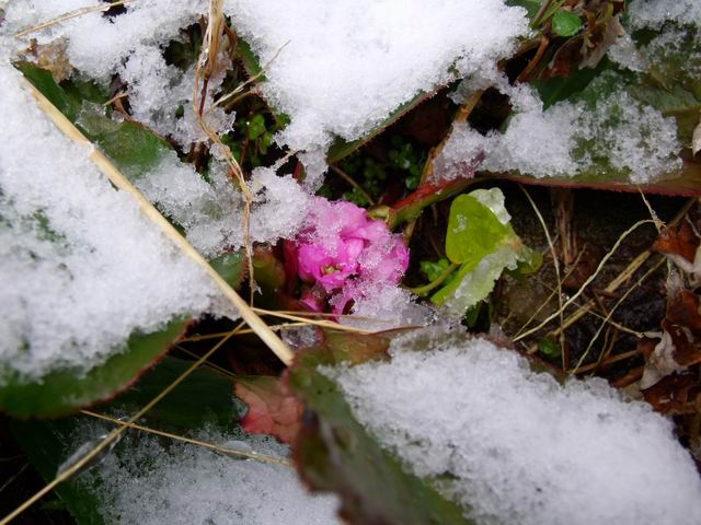 e0025300_1424063.jpg