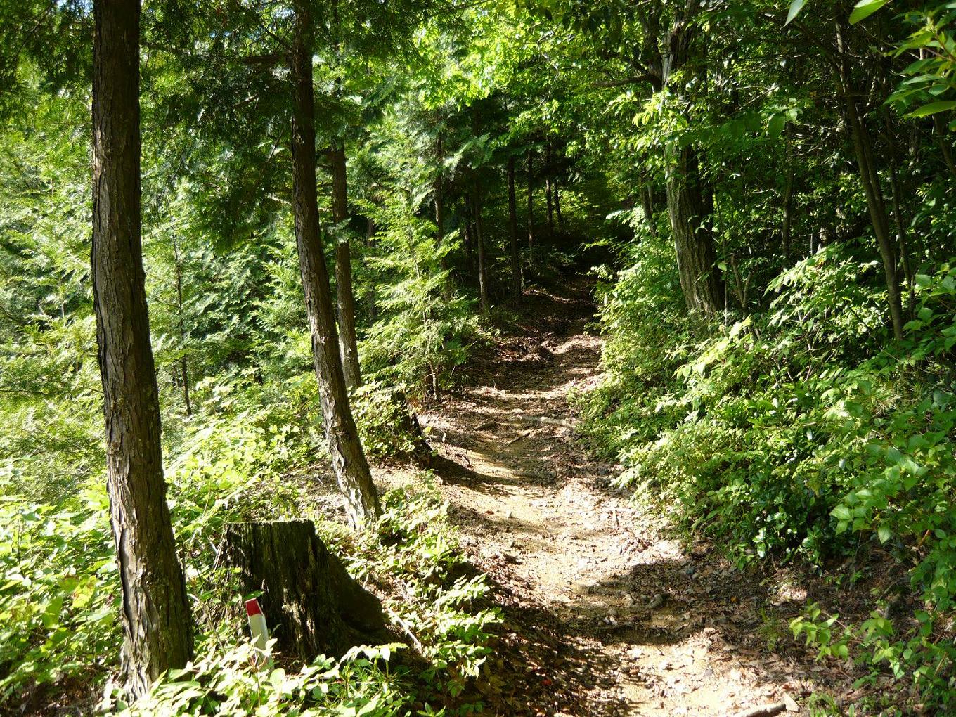 c0072801_16265572.jpg