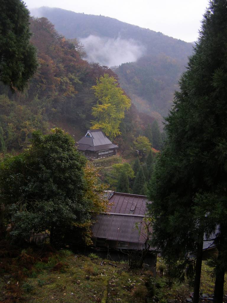c0072801_7451832.jpg