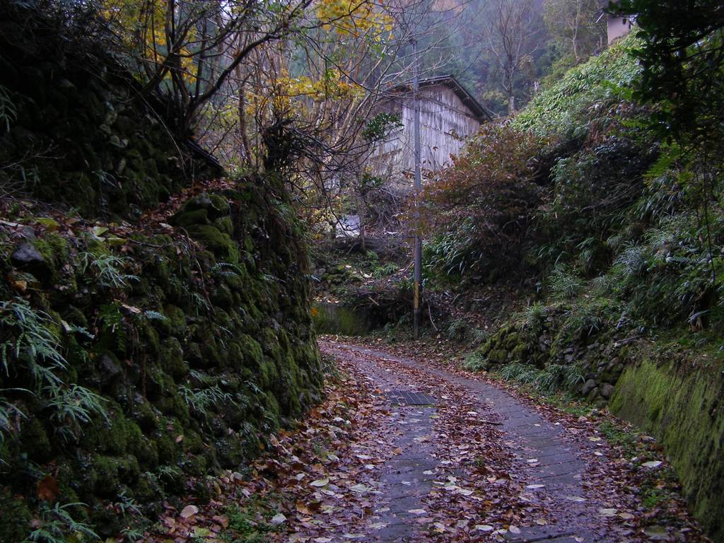 c0072801_7455750.jpg