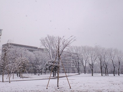 f0147602_13523052.jpg