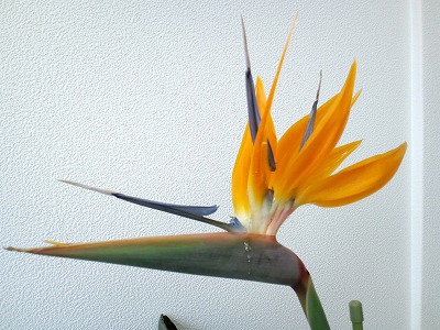f0147602_13525790.jpg