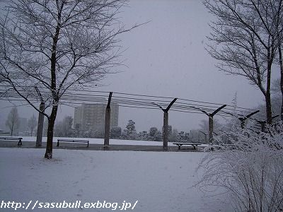 e0145805_2252429.jpg