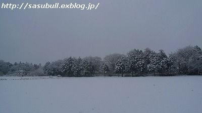 e0145805_2253553.jpg