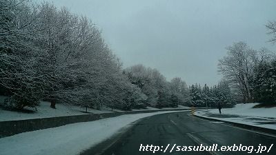 e0145805_22546100.jpg