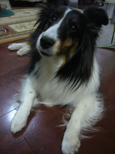 e0130008_2054653.jpg