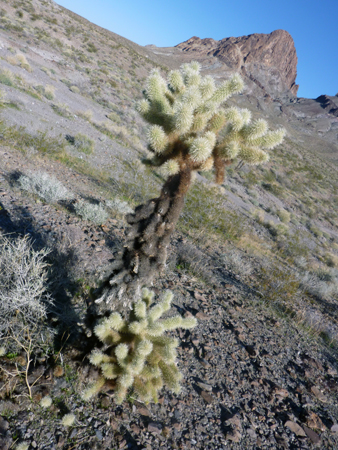 c0148812_11282460.jpg