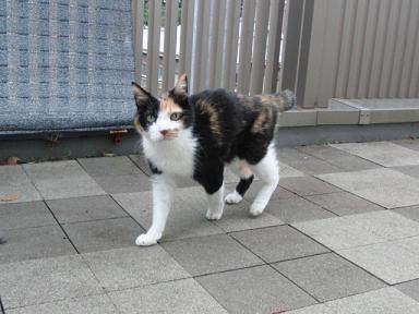 c0201113_22122890.jpg
