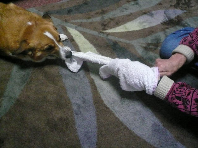 e0026017_2135097.jpg
