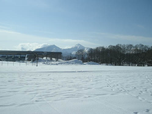 d0080118_2038144.jpg