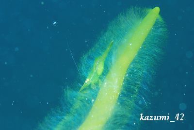b0164920_23565059.jpg