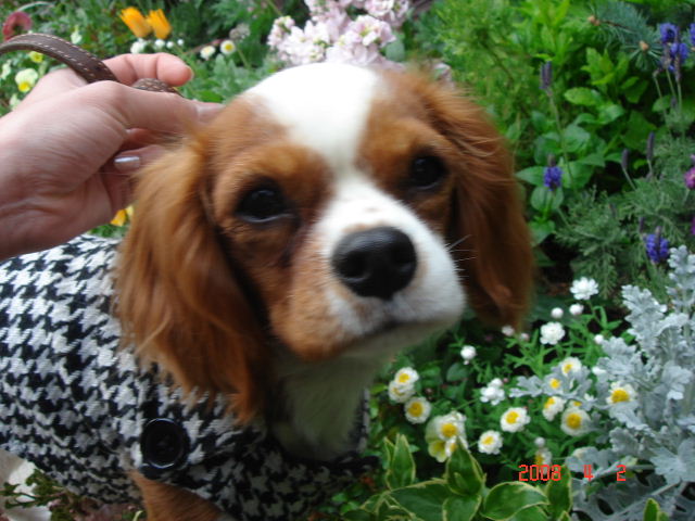 f0214121_11155034.jpg