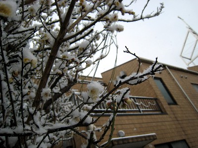 f0136828_872095.jpg