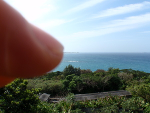 c0034029_095339.jpg