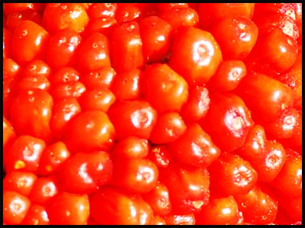 d0029829_13525917.jpg