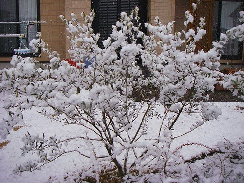 a0034438_1041567.jpg