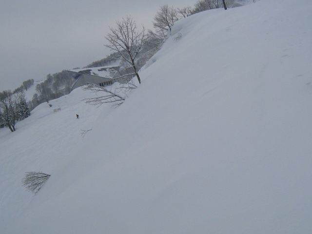 c0054838_11344981.jpg
