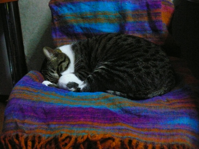 f0127441_21371885.jpg