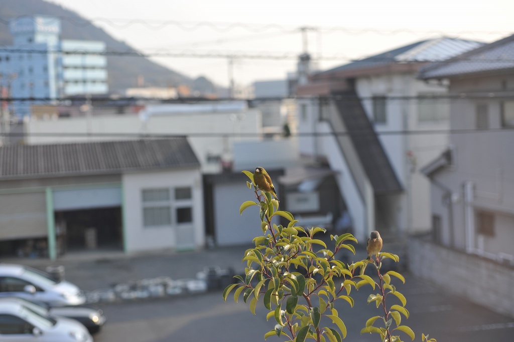 c0228442_23561630.jpg