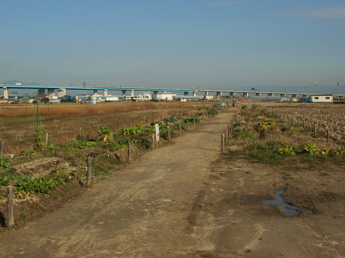 c0072843_17582171.jpg