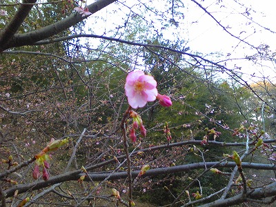 e0023643_23215520.jpg