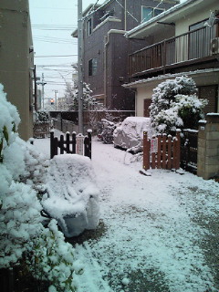 d0035245_7333319.jpg