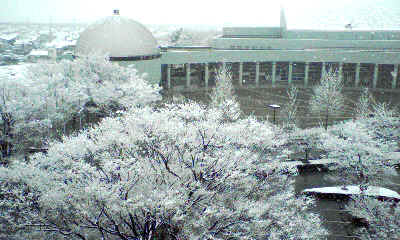 f0153547_17363778.jpg