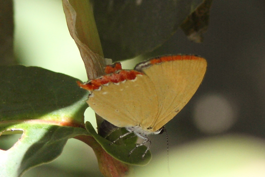 a0094850_14221334.jpg