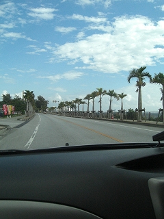 f0009451_1112288.jpg