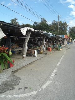 f0009451_112216.jpg