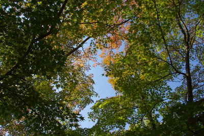 c0161459_2255539.jpg