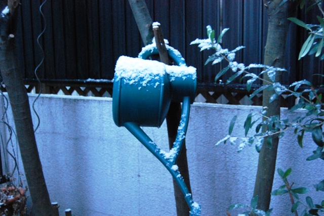 f0043859_23581126.jpg