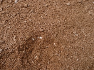 f0055264_2195215.jpg