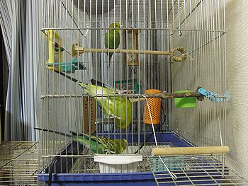 f0196665_0778.jpg